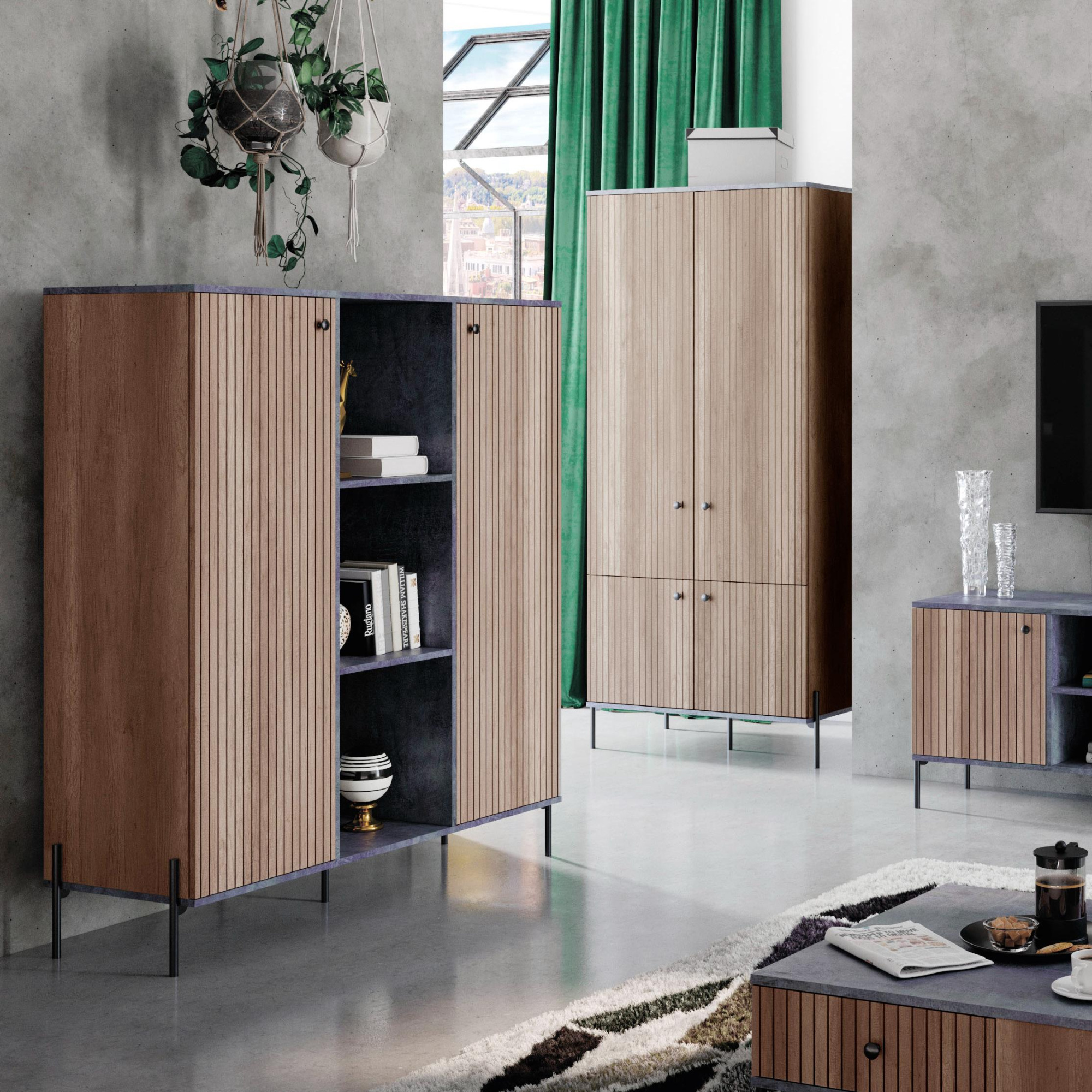 Денвер № 05 Шкаф комбинированный